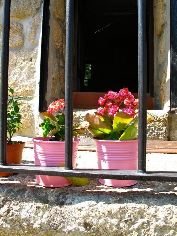 ホテルCasa Dos Moinhos Do Chao Do Mosteiro São Pedro do Sul 部屋 写真